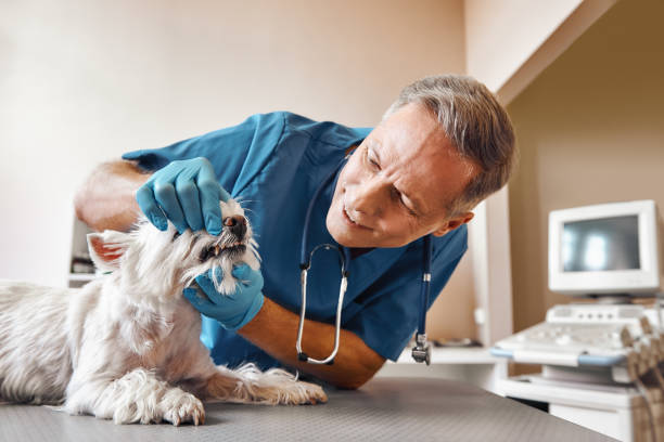 Best Emergency Dental Clinic in KY